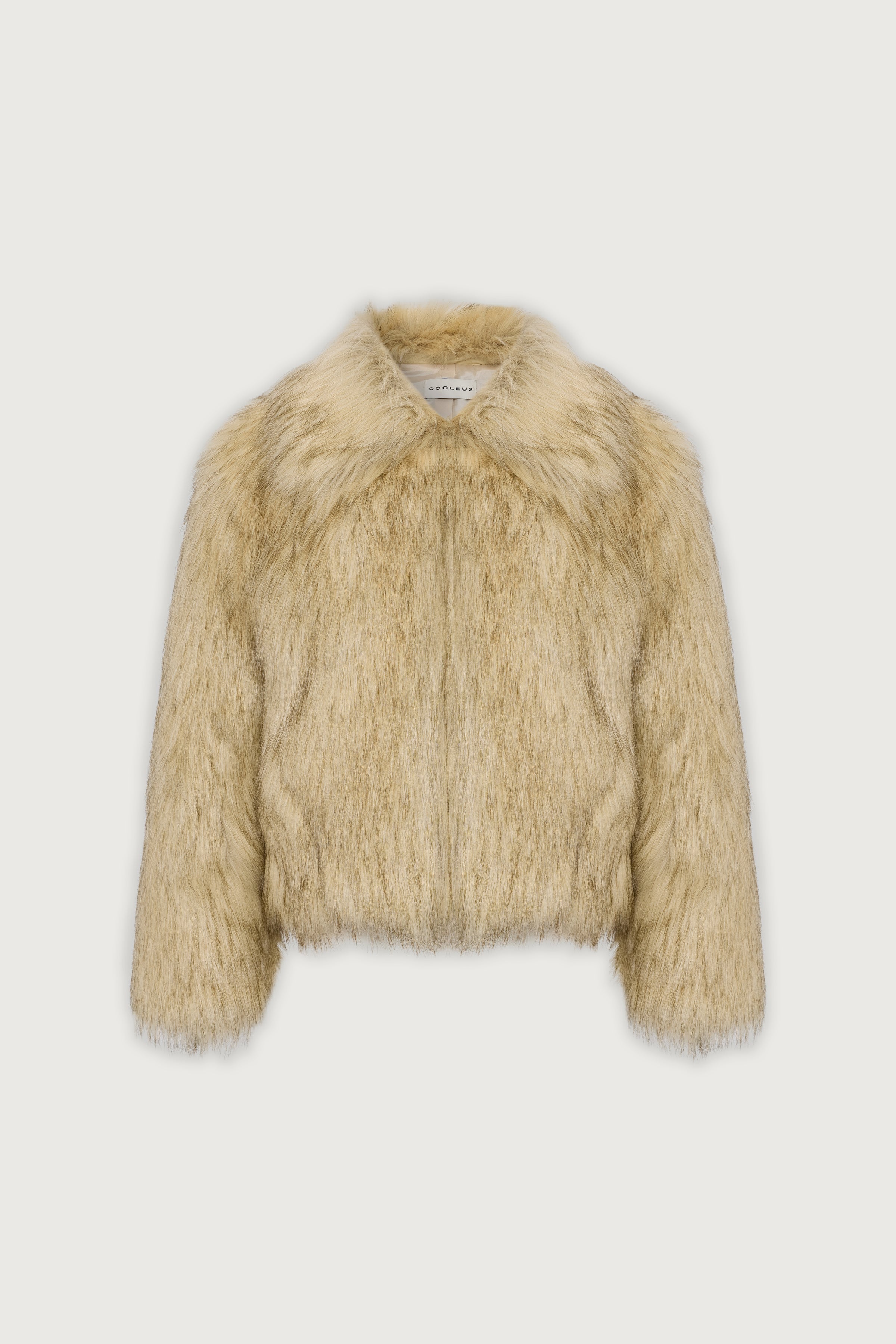 TAYLOR COAT